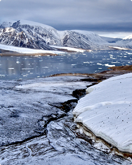 River bank in the Arctic