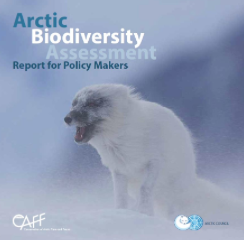 Arctic Biodiversity Assessment